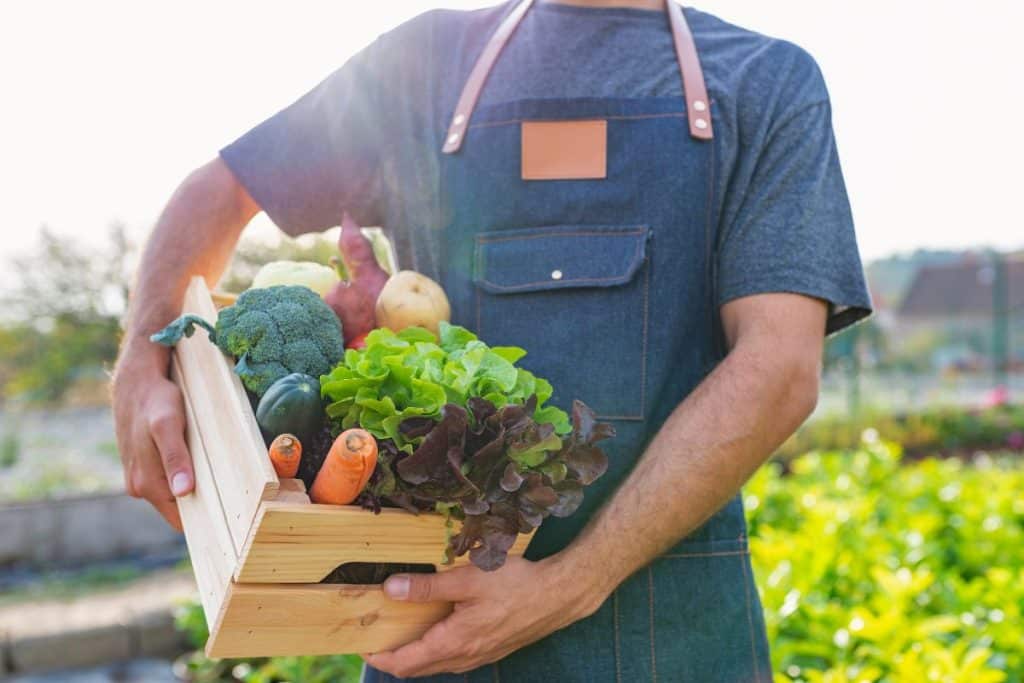 Alimentation biologique